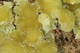 Yellow-Green Austinite Crystal Formation - Durango, Mexico #154724-1